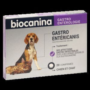 Biocanina Gastroenterican Cpr2